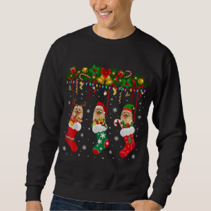 Spitz in Sock Xmas Rentier Santa ELF Hund Sweatshirt