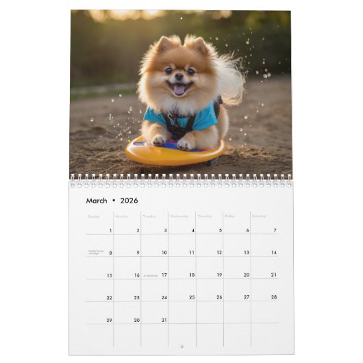 Spitz-Kalender 2025 Kalender (Mär 2026)