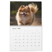 Spitz-Kalender 2025 Kalender (Jan 2027)