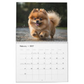 Spitz-Kalender 2025 Kalender (Feb 2027)