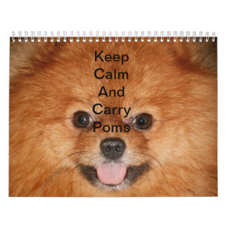 Spitz-Kalender Kalender