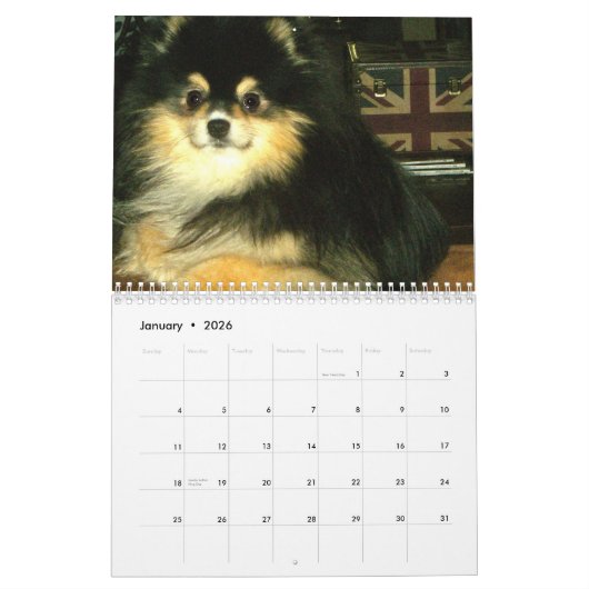 Spitz-Kalender Kalender (Jan 2026)