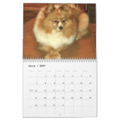 Spitz-Kalender Kalender (Mär 2027)