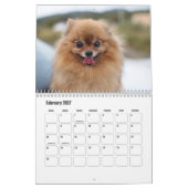 Spitz-Kalender Kalender (Feb 2027)