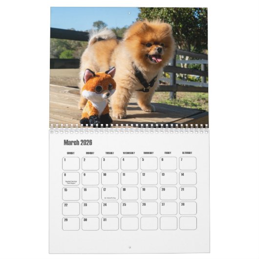 Spitz-Kalender Kalender (Mär 2026)