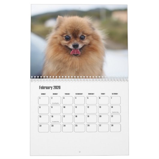 Spitz-Kalender Kalender (Feb 2026)