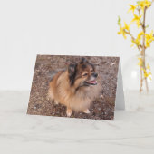 Spitz Karte (Gelbe Blume)