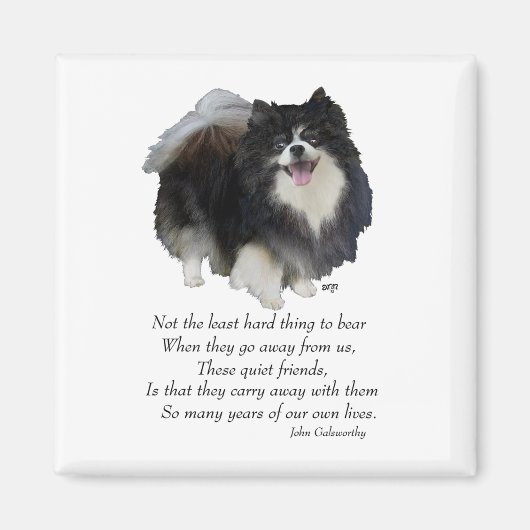 Spitz Keepake Male Magnet (Vorne)