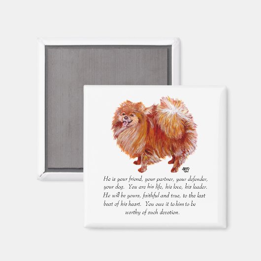 Spitz Keepake Male Magnet (Vorderseite/Rückseite)