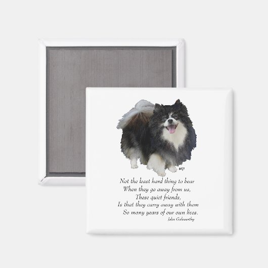 Spitz Keepake Weibchen Magnet (Vorderseite/Rückseite)