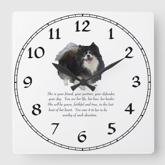 Spitz Keepake Weibchen Quadratische Wanduhr (Vorderseite)