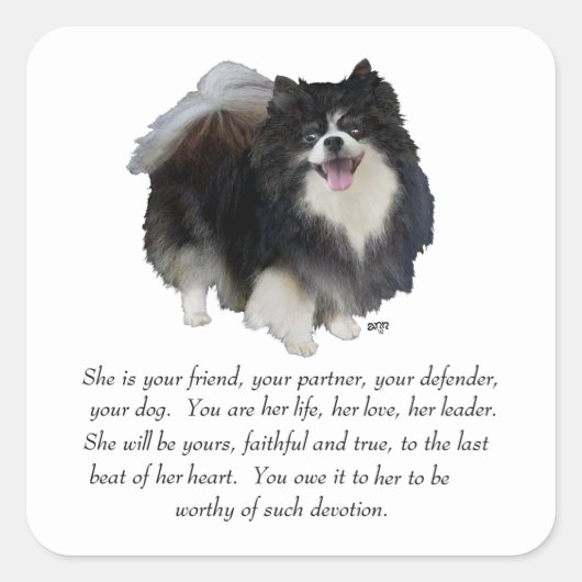 Spitz Keepake Weibchen Quadratischer Aufkleber (Vorderseite)