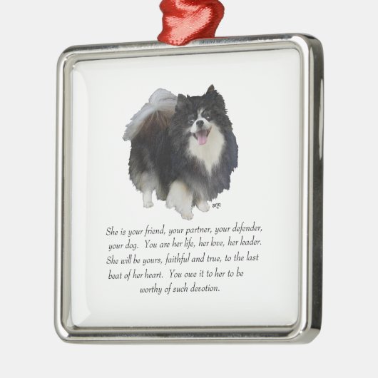 Spitz Keepake Weibchen Silbernes Ornament (Links)