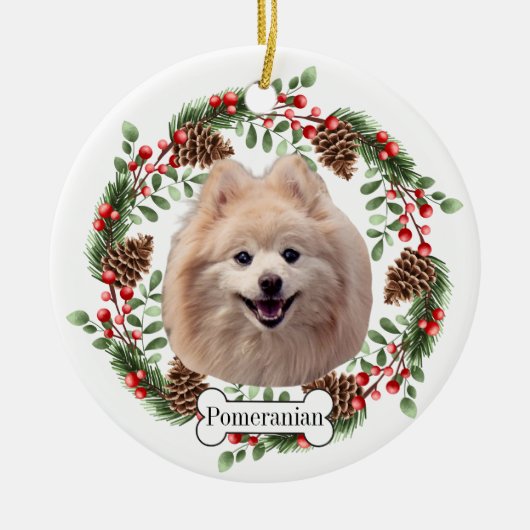 Spitz Keramik Ornament (Vorne)
