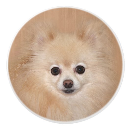 Spitz Keramikknauf (Vorderseite)