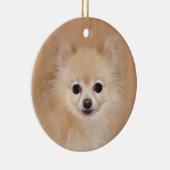 Spitz Keramikornament (Rechts)