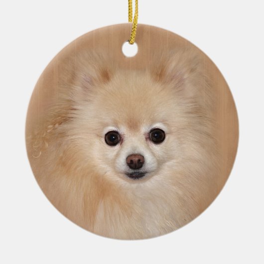 Spitz Keramikornament (Vorne)