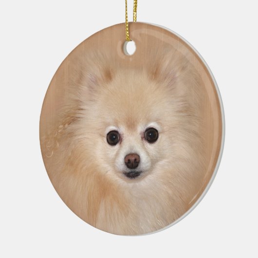 Spitz Keramikornament (Links)