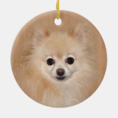 Spitz Keramikornament (Hinten)