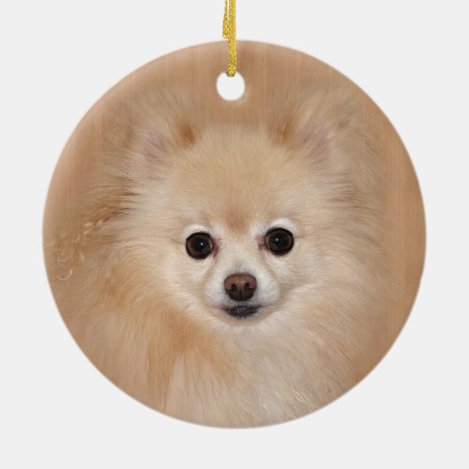 Spitz Keramikornament (Hinten)