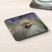 Spitz-Keuchen Getränkeuntersetzer (Linke Seite)