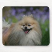Spitz-Keuchen Mousepad (Vorne)