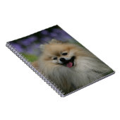 Spitz-Keuchen Notizblock (Rechte Seite)