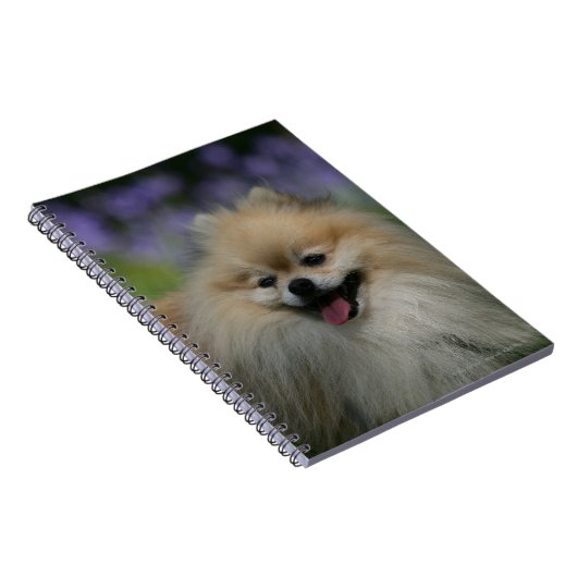 Spitz-Keuchen Notizblock (Rechte Seite)