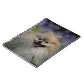 Spitz-Keuchen Notizblock (Linke Seite)