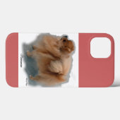 Spitz Kunstgeschenke Case-Mate iPhone Hülle (Rückseite (Horizontal))