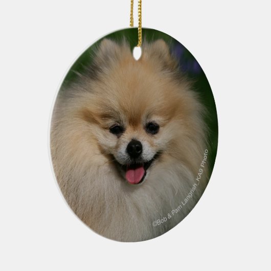 Spitz-Lächeln Keramikornament (Rechts)