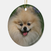 Spitz-Lächeln Keramikornament (Links)