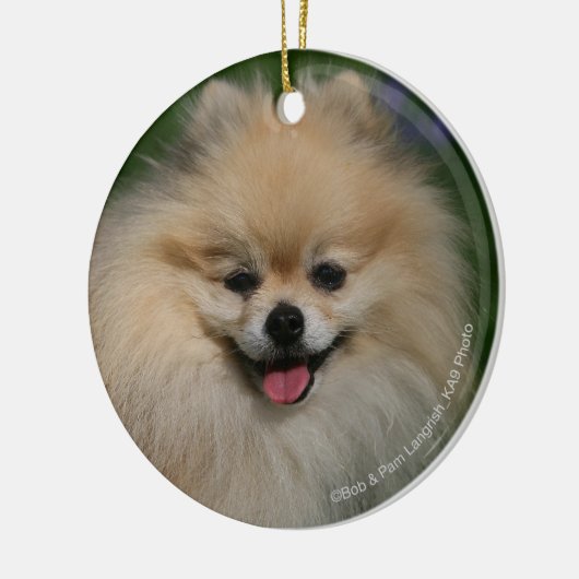 Spitz-Lächeln Keramikornament (Links)