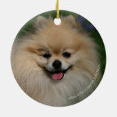 Spitz-Lächeln Keramikornament (Hinten)