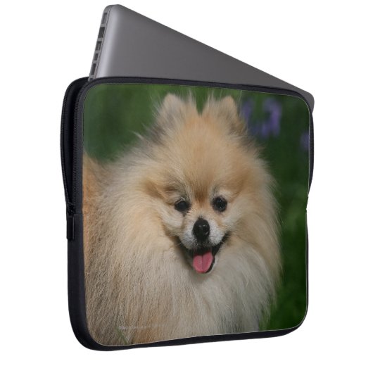 Spitz-Lächeln Laptopschutzhülle (Vorne Rechts)