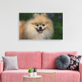 Spitz lächeln leinwanddruck (Insitu (Wohnzimmer))