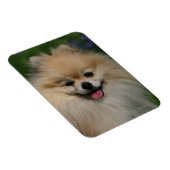 Spitz lächeln magnet (Rechte Seite)