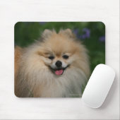 Spitz-Lächeln Mousepad (Mit Mouse)