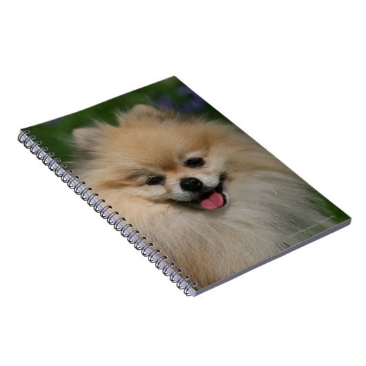 Spitz-Lächeln Notizblock (Rechte Seite)