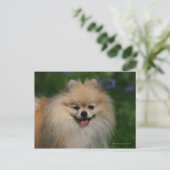 Spitz lächeln postkarte (Stehend Vorderseite)