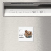 Spitz Liebhaber Geschenke Magnet (In Situ (Geschirrspüler))