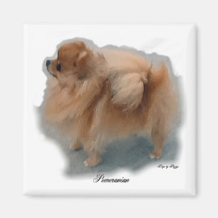 Spitz Liebhaber Geschenke Magnet