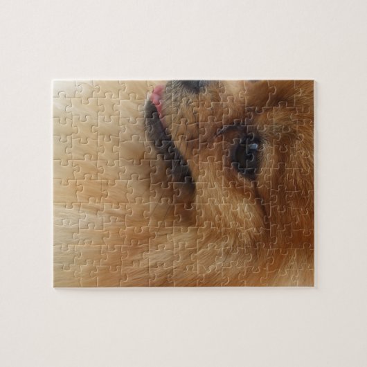 Spitz-Liebhaber Puzzle (Horizontal)