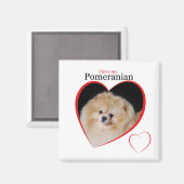 Spitz Magnet (Vorderseite/Rückseite)