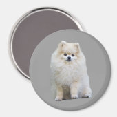 Spitz Magnet (Vorderseite/Rückseite)