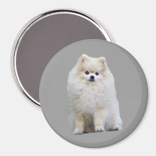 Spitz Magnet (Vorderseite/Rückseite)