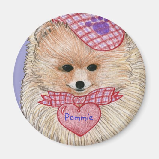 Spitz Magnet (Vorne)