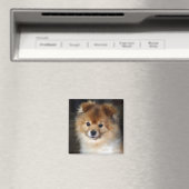 Spitz Magnet - "Baby" (In Situ (Geschirrspüler))