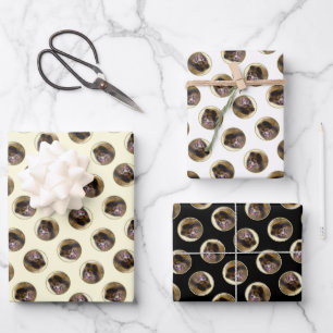 Spitz Malerei Orange Sable Original Hunde Kunst Geschenkpapier Set