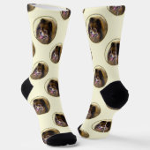 Spitz Malerei Orange Sable Original Hunde Kunst Socken (Gewinkelt)